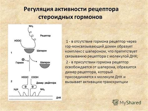 Слабая концентрация либо отсутствие гормона LH