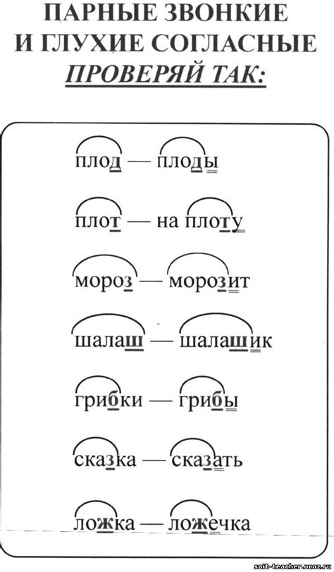 Слова с парными согласными