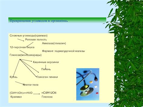 Сложные химические процессы в организме