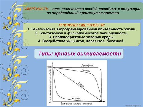 Смертность и причины