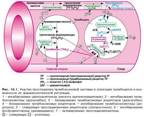 Снижение активности приманок