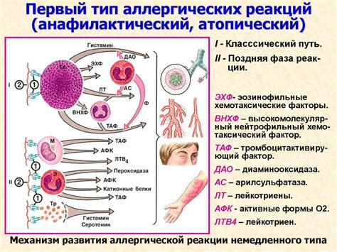 Снятие аллергических реакций