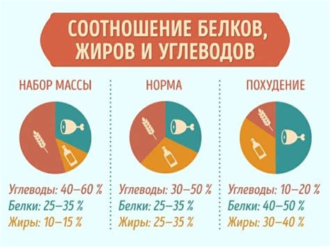 Советы и рекомендации по норме потребления белка