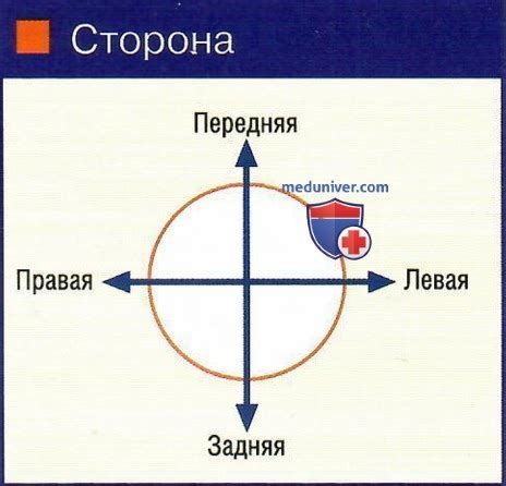 Советы по интерпретации