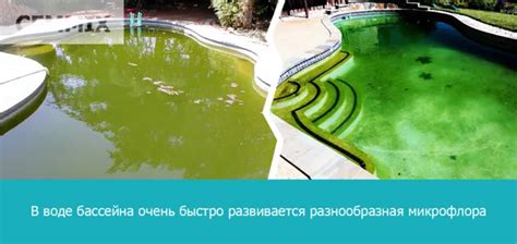 Советы по обеспечению чистой и прозрачной воды в бассейне: