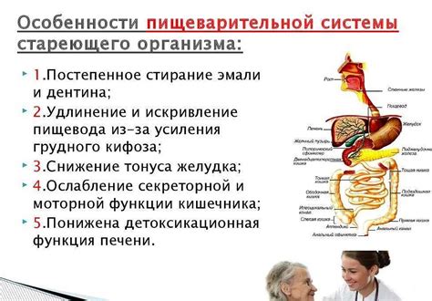 Советы по увеличению усвояемости железа