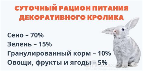 Совместимость огурцов и других продуктов в рационе кроликов