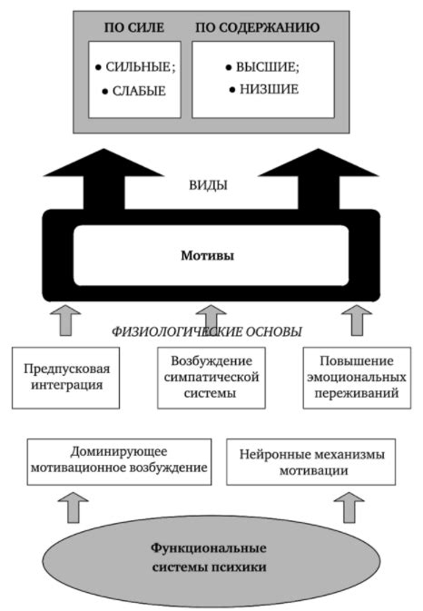 Современные факторы и мотивы заселения