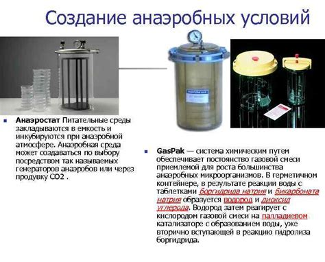 Создание анаэробной среды в желудке