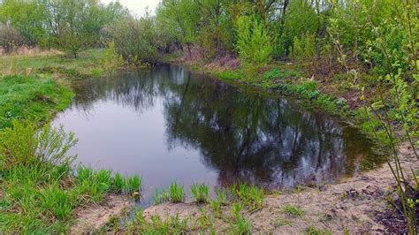 Создание устойчивой экосистемы на плодородных участках