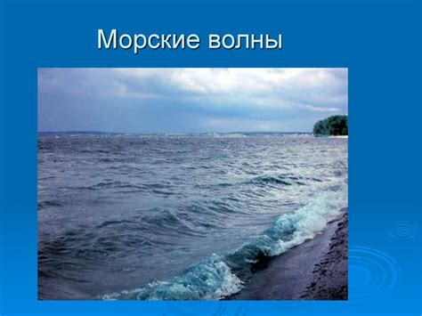 Соленость и морской климат