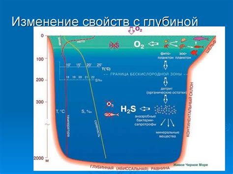 Соленость морской воды и организм