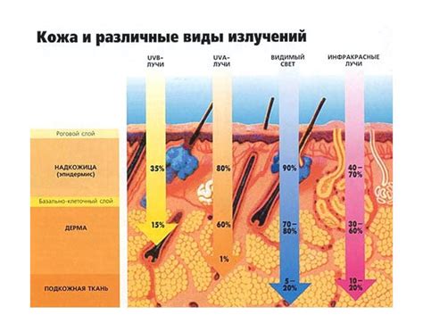 Солярий и кожа: нежелательное воздействие