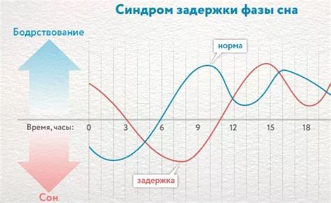 Сонные фазы и циклы сна