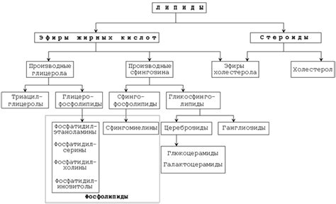 Состав веществ: основные компоненты и их роли