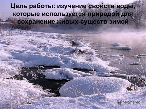 Сохранение свойств воды