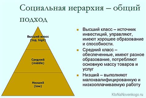 Социализация и социальная иерархия