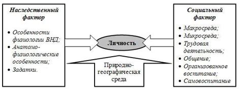 Социальные факторы, влияющие на наше желание спать