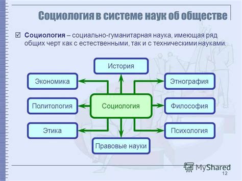 Социология как наука об обществе и социальных взаимодействиях