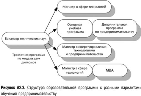 Специализации на бакалавриате