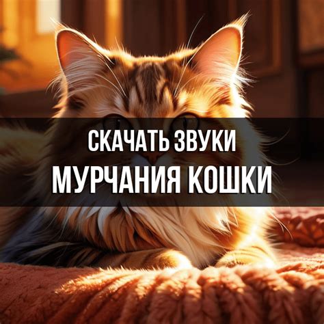 Специфика звука мурчания у котов