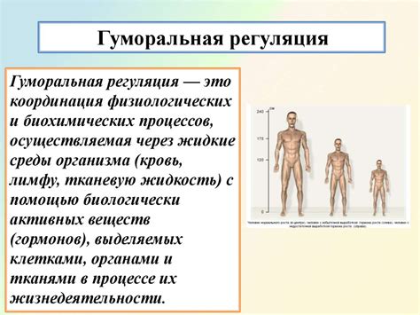 Специфика функций организма