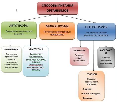 Способы дешевого питания