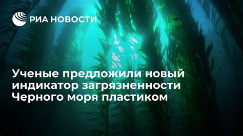 Сравнение загрязненности Черного моря и моря Лаптевых