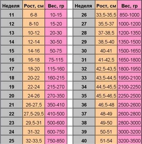 Средний вес плода в 11 недель беременности