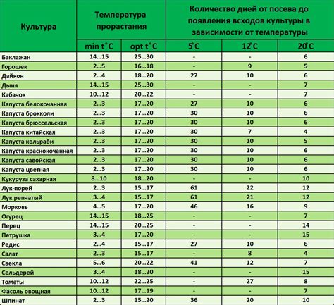 Срок годности отварных овощей