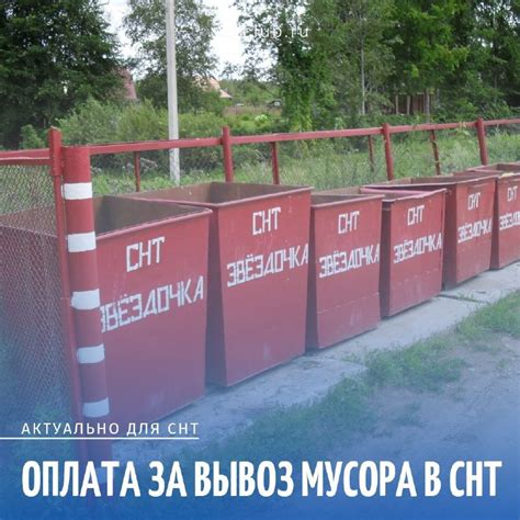 Стоимость оплаты мусора на даче за год