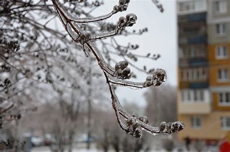 Стоит ли ожидать завершения дождя в Нижнем Новгороде сегодня?