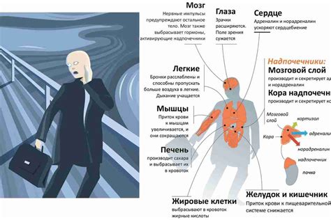 Стресс и его последствия: