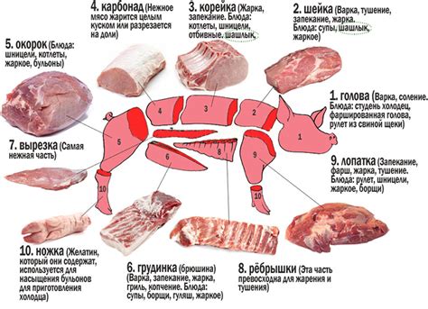 Структура и особенности свиной мякоти