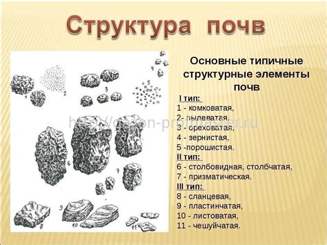 Структура почвы