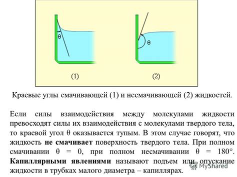 Схожие структуры жидкостей и их взаимодействия