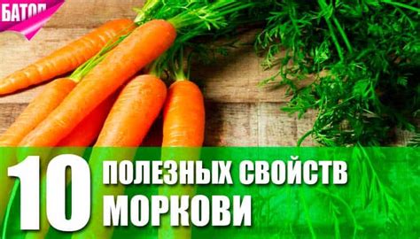 Тайна силы исцеляющих свойств моркови