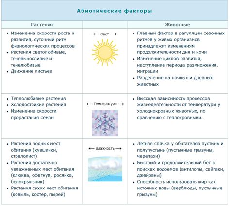 Температура и влажность - факторы, влияющие на кристаллизацию меда