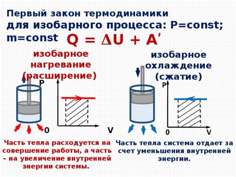 Тепло его присутствия и взгляда