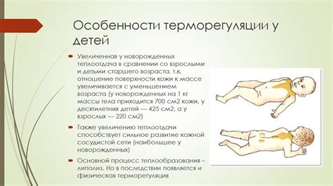 Терморегуляция у младенцев