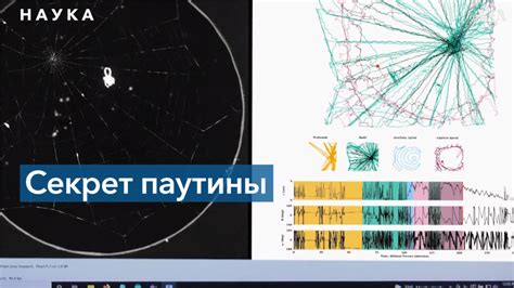 Техника плетения паутины