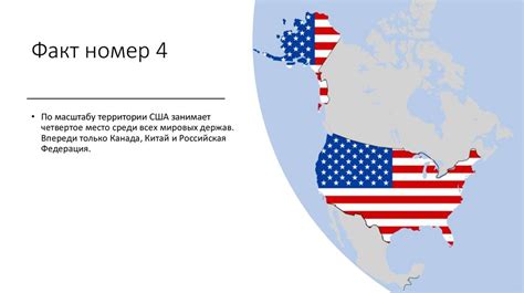 Товары в США дешевле: важные факты о разнице цен