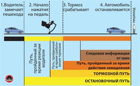 Тормозной путь и реакция