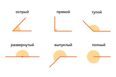 Тупой треугольник: прямые и углы