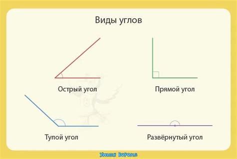 Тупой угол: определение и свойства