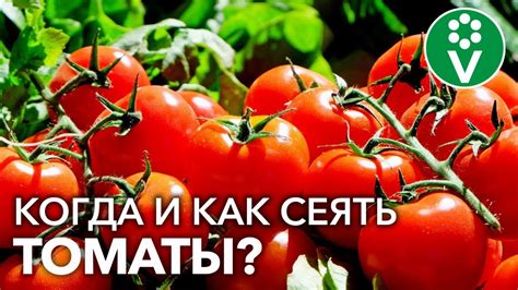 Узнайте точную дату сегодня!