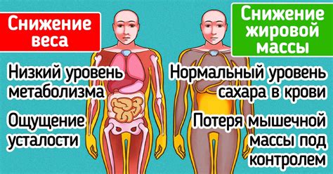 Улучшение инсулинорезистентности и снижение жировой массы