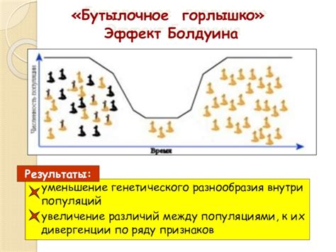 Уменьшение генетического разнообразия