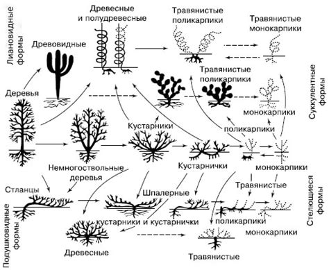 Уникальная жизненная форма