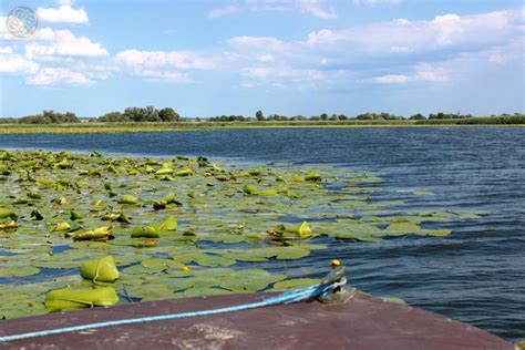 Уникальность Южного Причерноморья